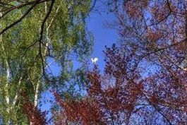 Heiliger Josef - Arbeiter und Bräutigam Mariens.